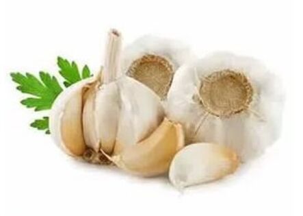 Methods for treating nail fungus with garlic